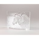 CopyOf CopyOf CopyOf CopyOf Namens-, Innen-, Aussenschild, Troph&#228;enbeschriftung in Metallic Optik (20170913125349063)